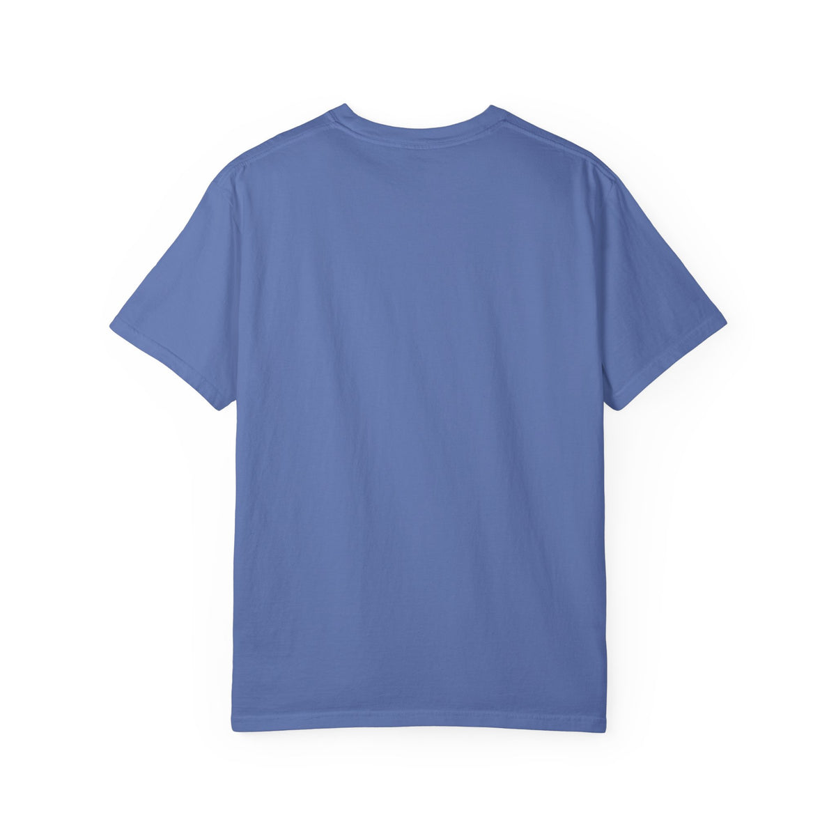 Periwinkle-blue unisex T-shirt with crew neck and short sleeves, plain front.