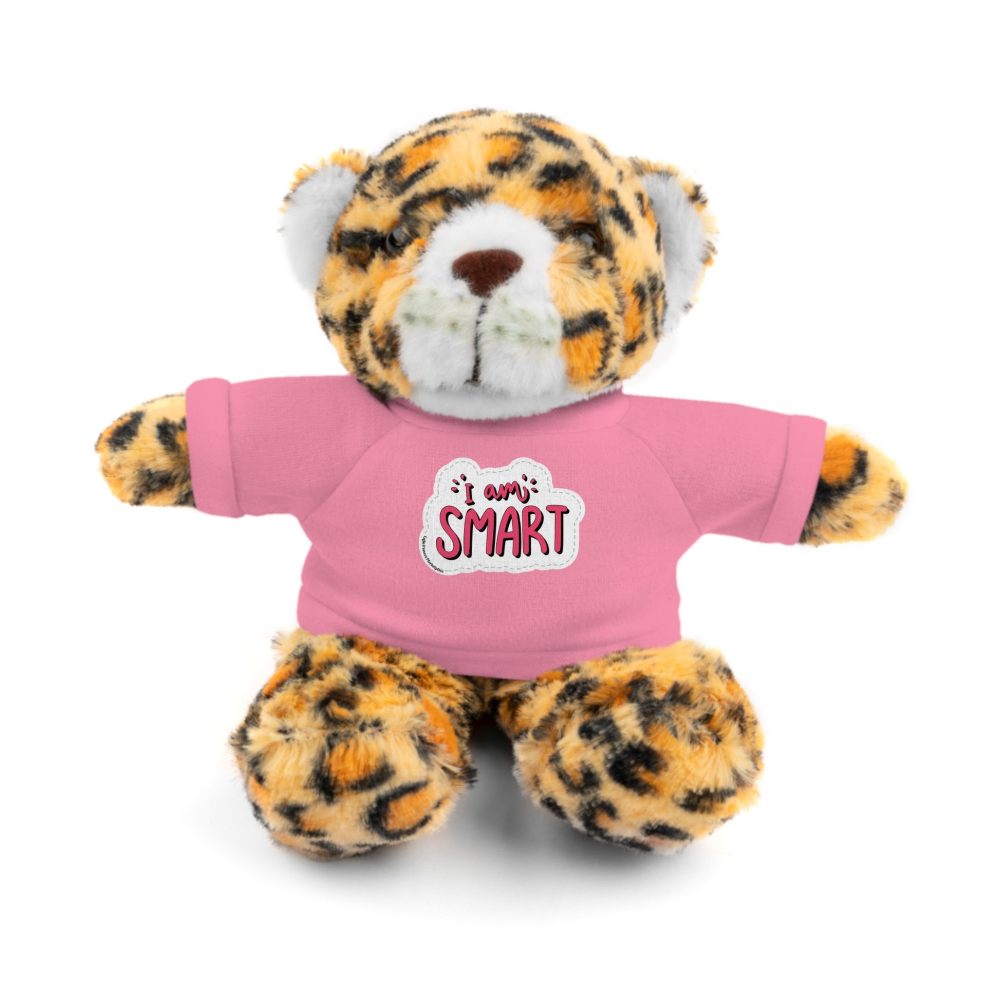 Stuffed animal in a pink shirt with 'I am Smart' message, part of Cool Stuff Stuffies collection featuring 6 educational plush toys.