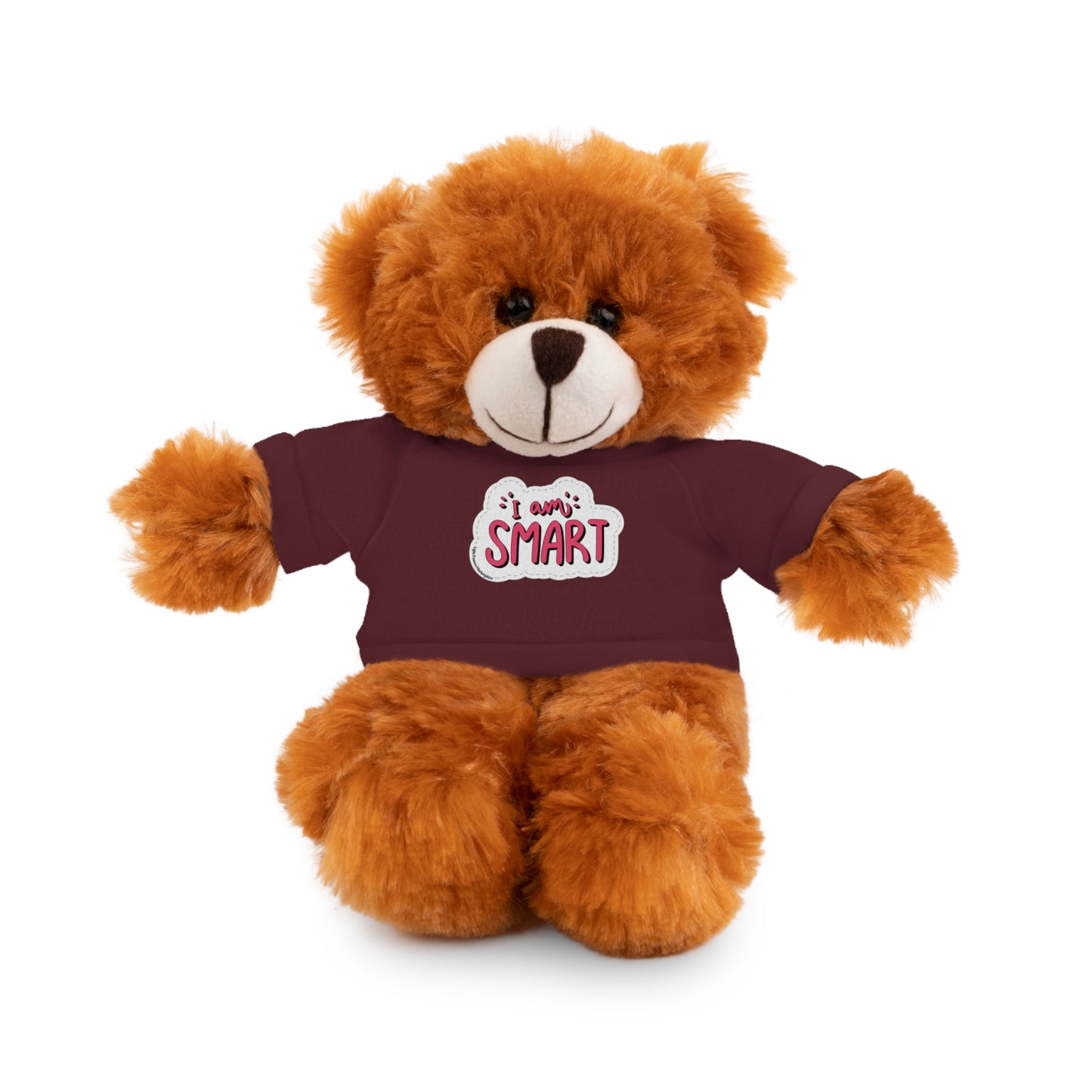 Cool Stuff Stuffies teddy bear in a removable T-shirt with 'I am Smart' message, part of a plush collection for educational play.