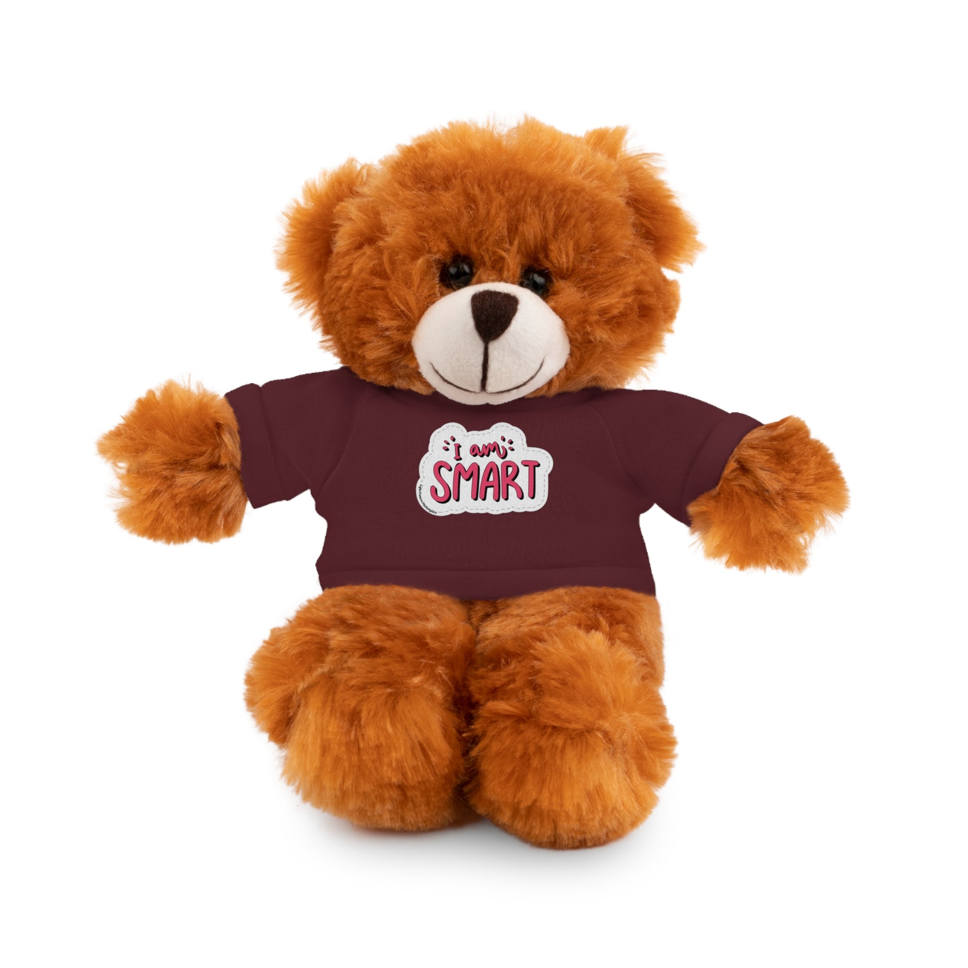 Cool Stuff Stuffies teddy bear in a removable T-shirt with 'I am Smart' message, part of a plush collection for educational play.