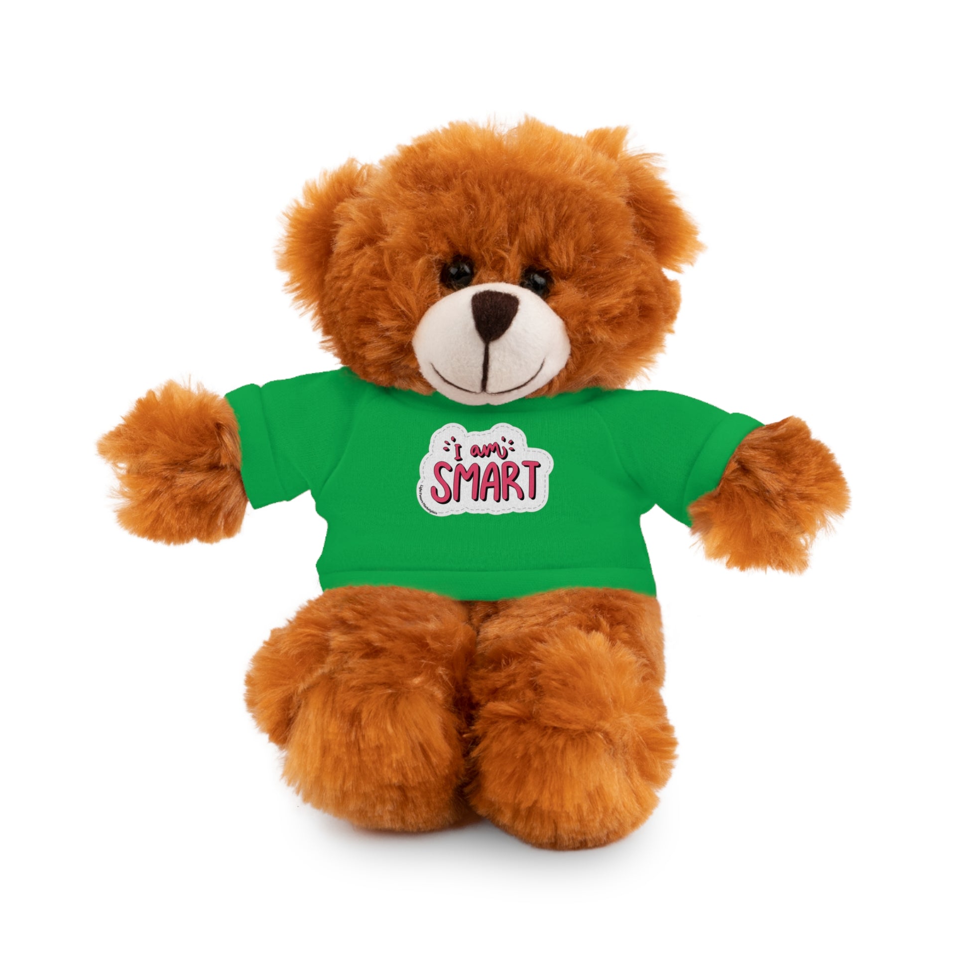 Stuffed bear in a green shirt with I am Smart message, part of Cool Stuff Stuffies collection featuring removable tees and various animal designs.