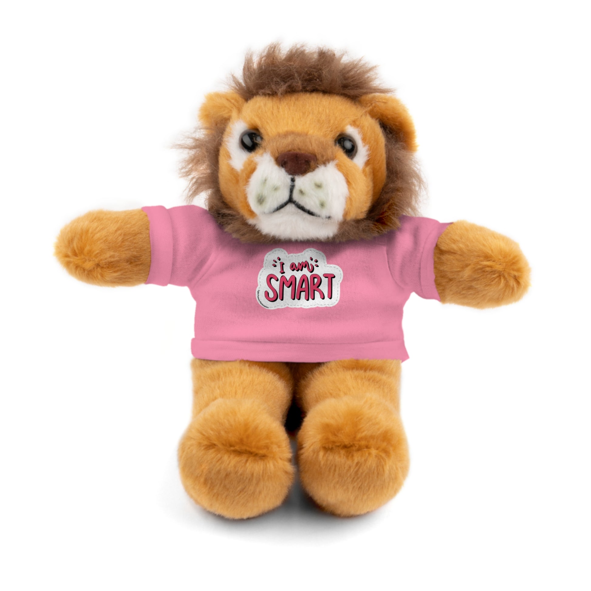 Stuffed animal toy wearing a T-shirt with I am Smart message, part of Cool Stuff Stuffies collection featuring educational plushies.